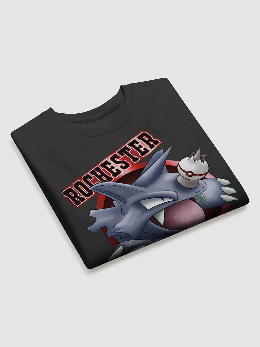 ROCHESTER RHYDONS CREW SWEATER product image (3)