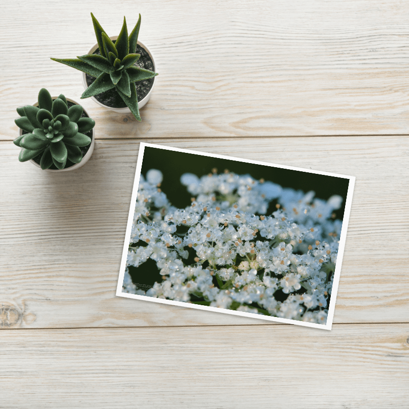 Dew Lace Greeting Card product image (1)