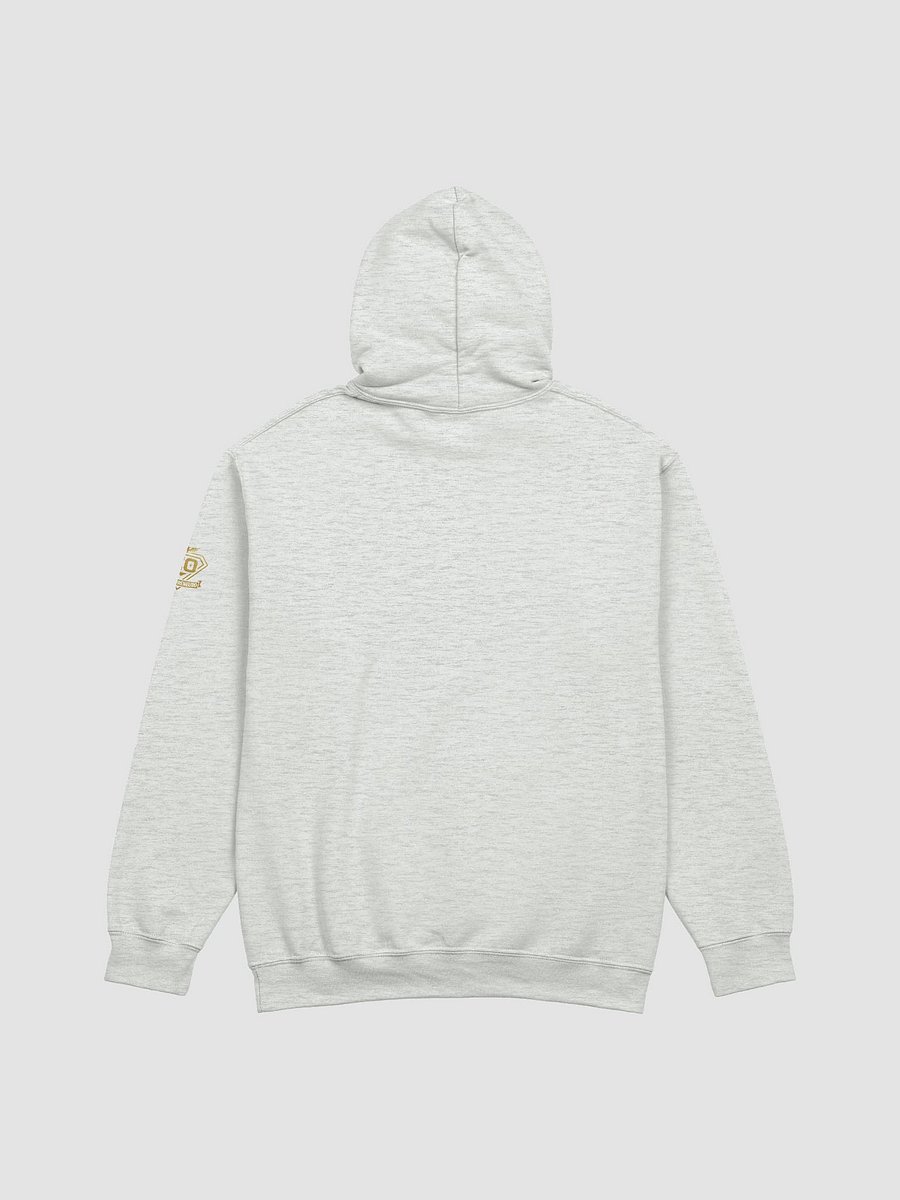 TEO Hoody product image (2)