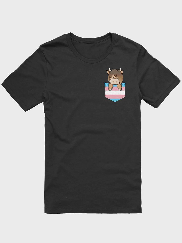 Trans Pocket Hamish Pride product image (6)