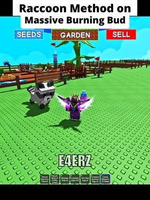 Raccoon Method on Massive Burning Bud 💀 #growagarden #roblox #fyp