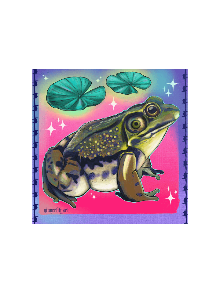 bullfrog print (text free) product image (1)