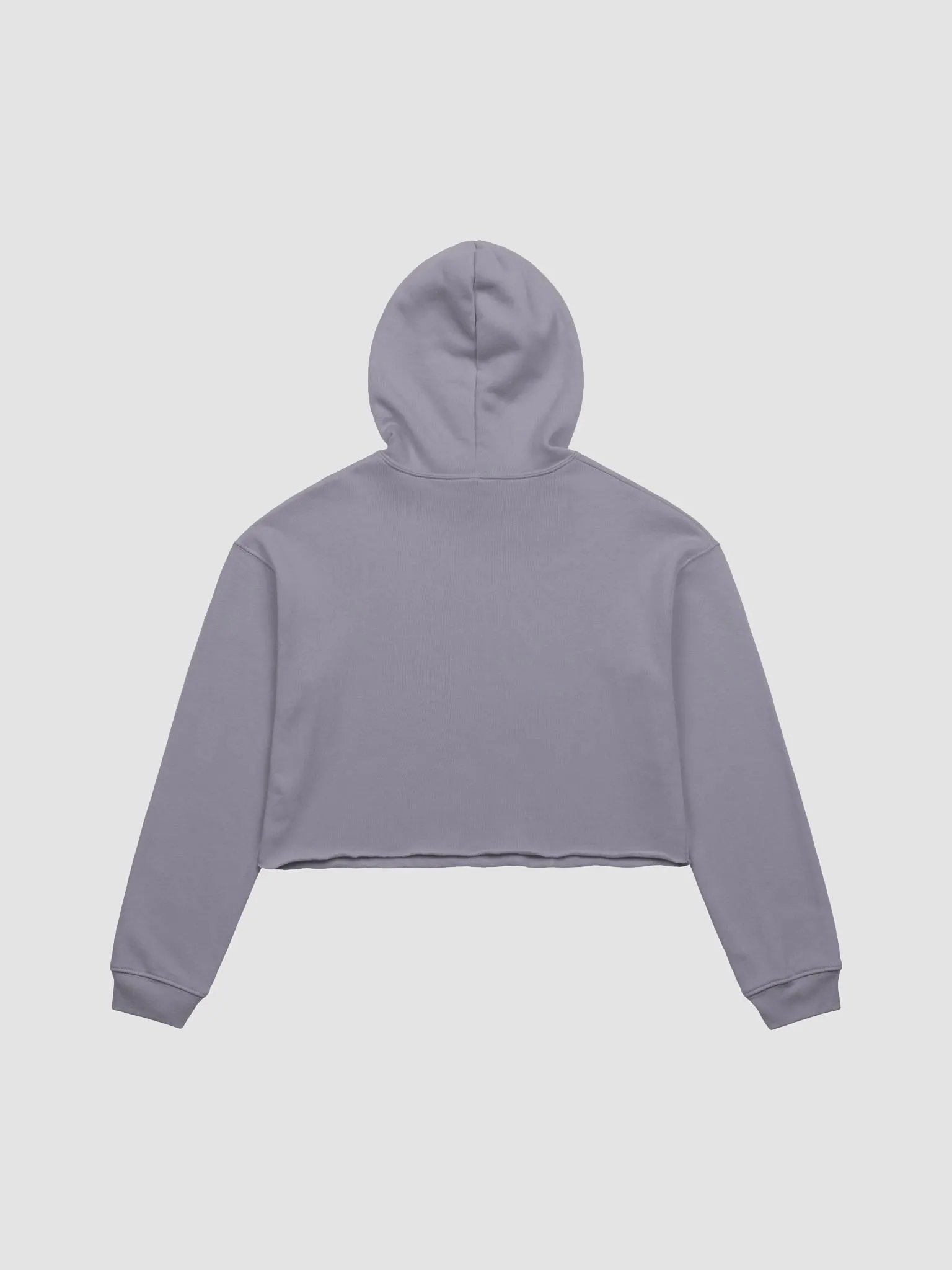 The Streaming Collective - Bella+Canvas Fleece Crop Hoodie product image (3)