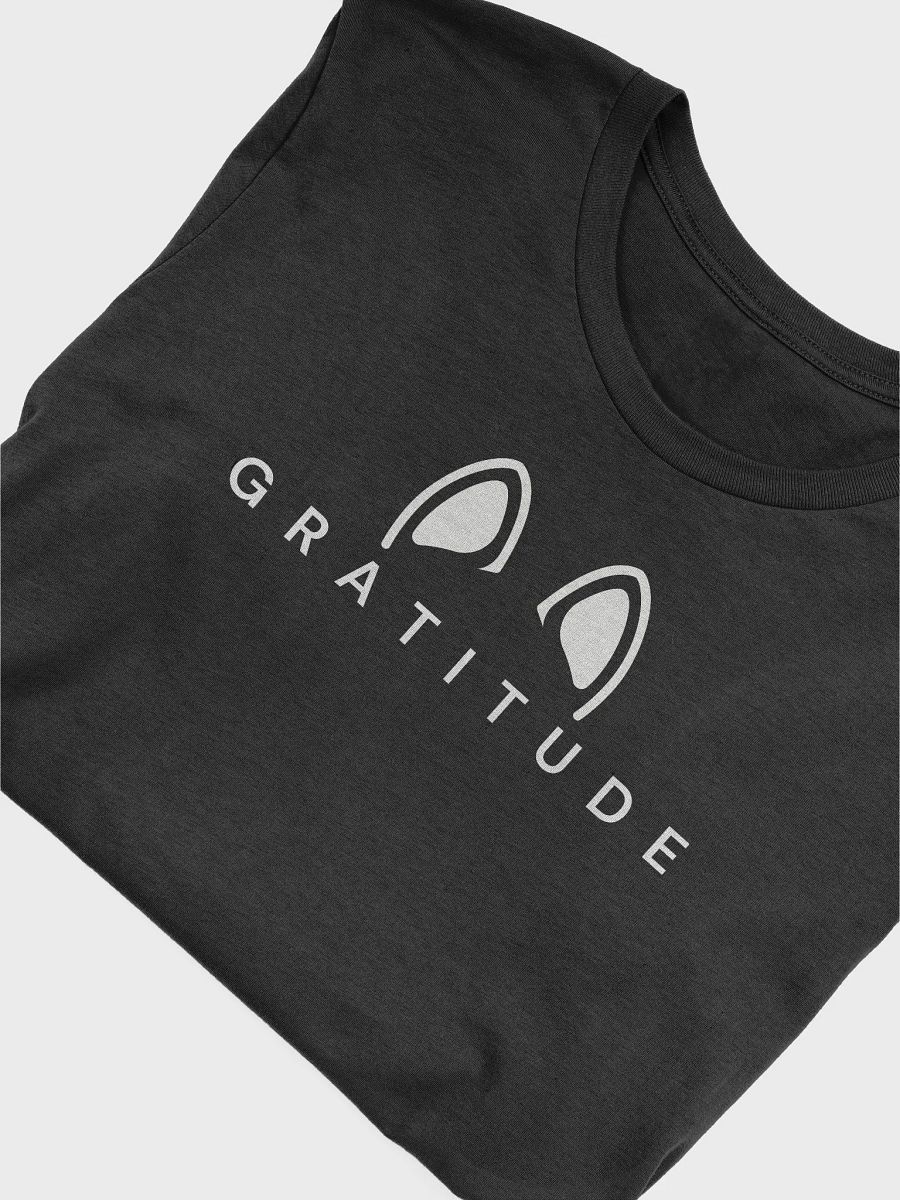 Gratitude product image (5)
