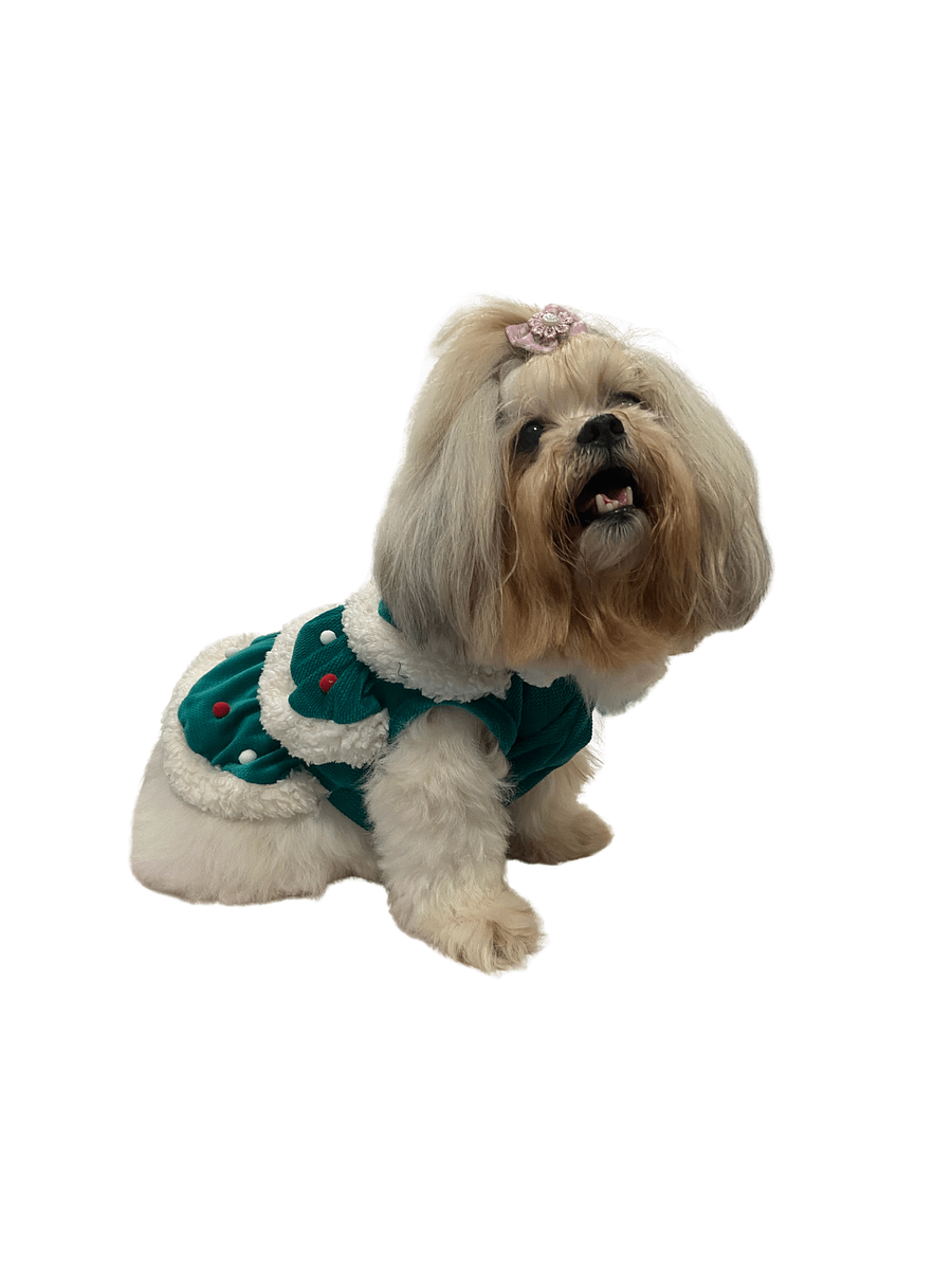Vestido Pet Árvore Encantada - Modelagem Pet PDF product image (5)