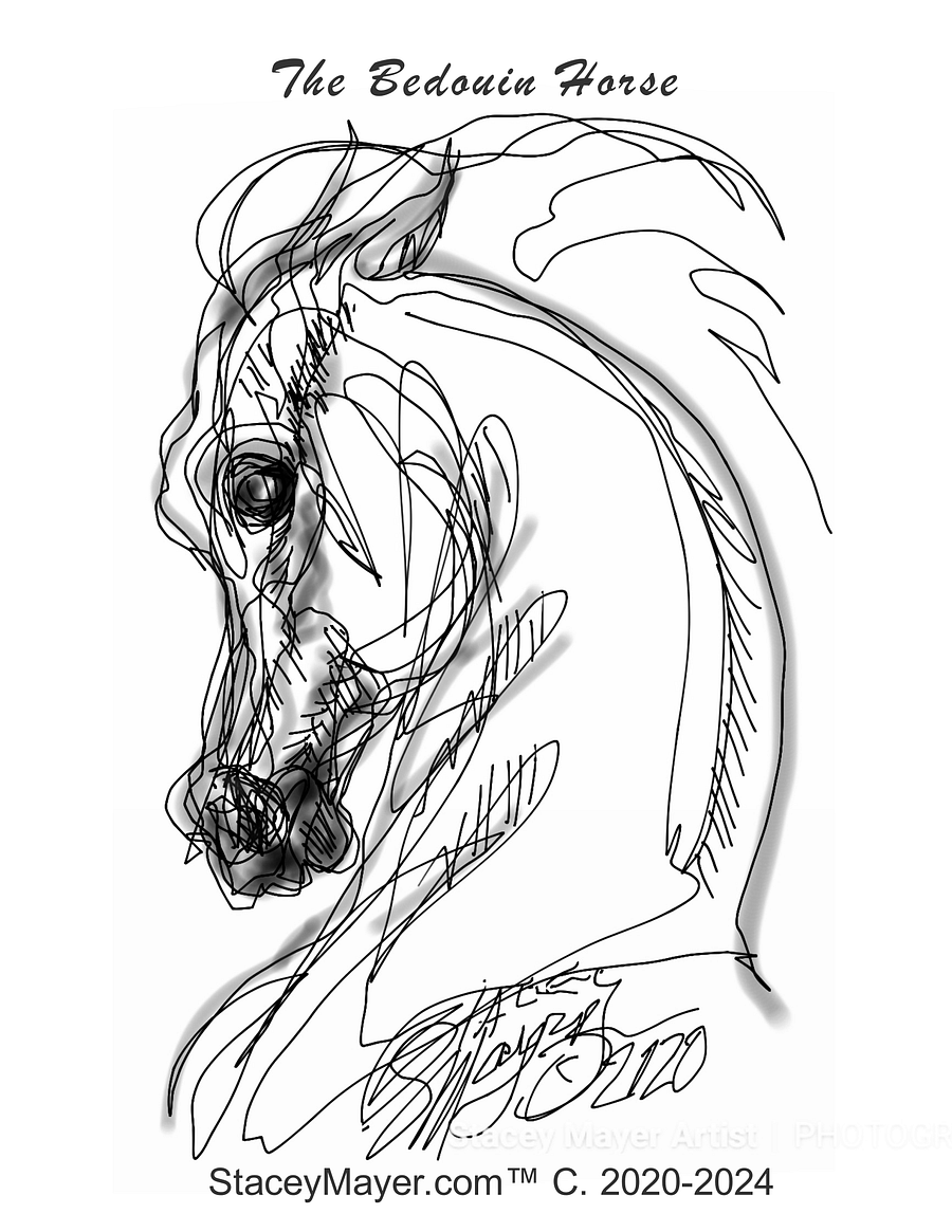Stacey Mayer's Classic Horse Coloring Book product image (4)