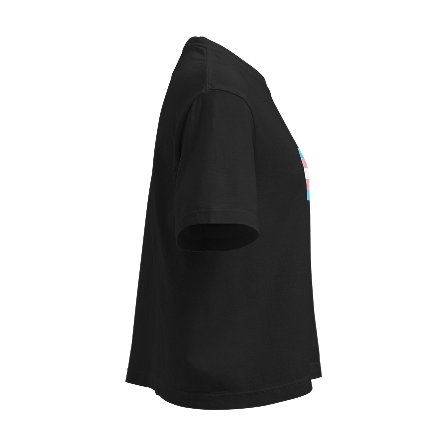 Faulted Pride Flags- Transgender Shirt product image (4)