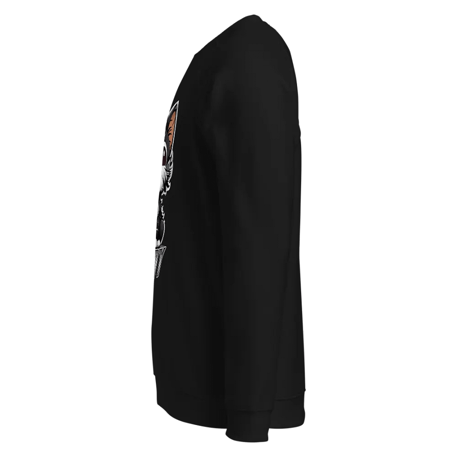Buddy SOL'S Unisex Organic Raglan Sweatshirt product image (5)