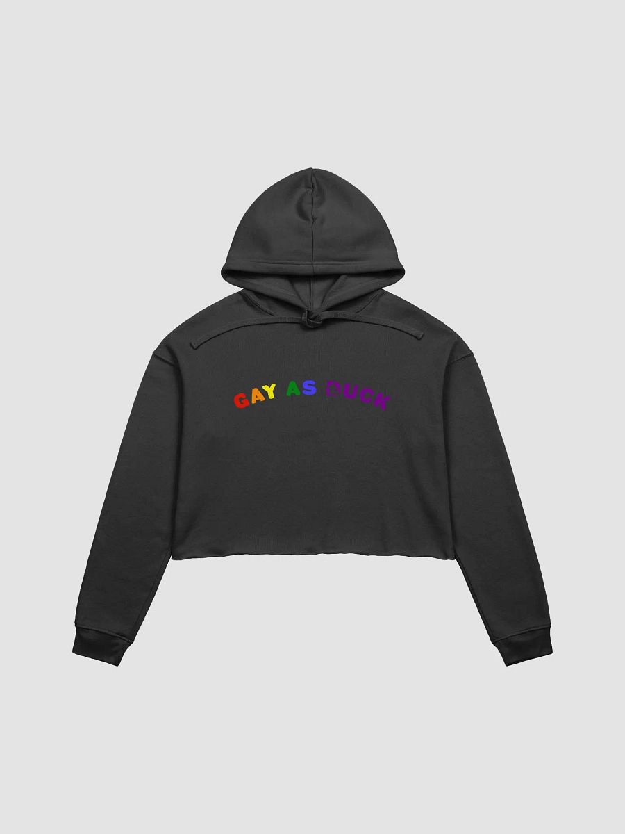 Gay As Duck Crop Hoodie - Pride product image (1)