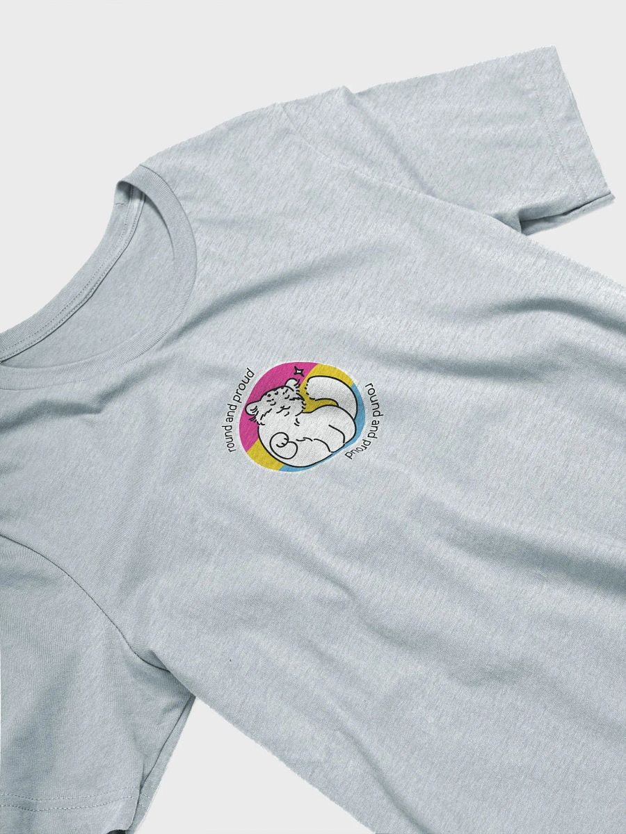 Round and Proud Manul Pansexual Version - Bella+Canvas Unisex T-Shirt product image (27)