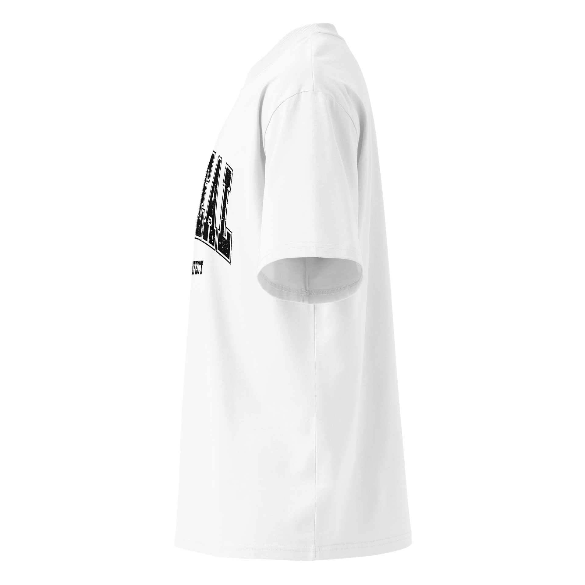 Be Real Not Perfect Oversized T-Shirt | 100% Organic Cotton product image (12)