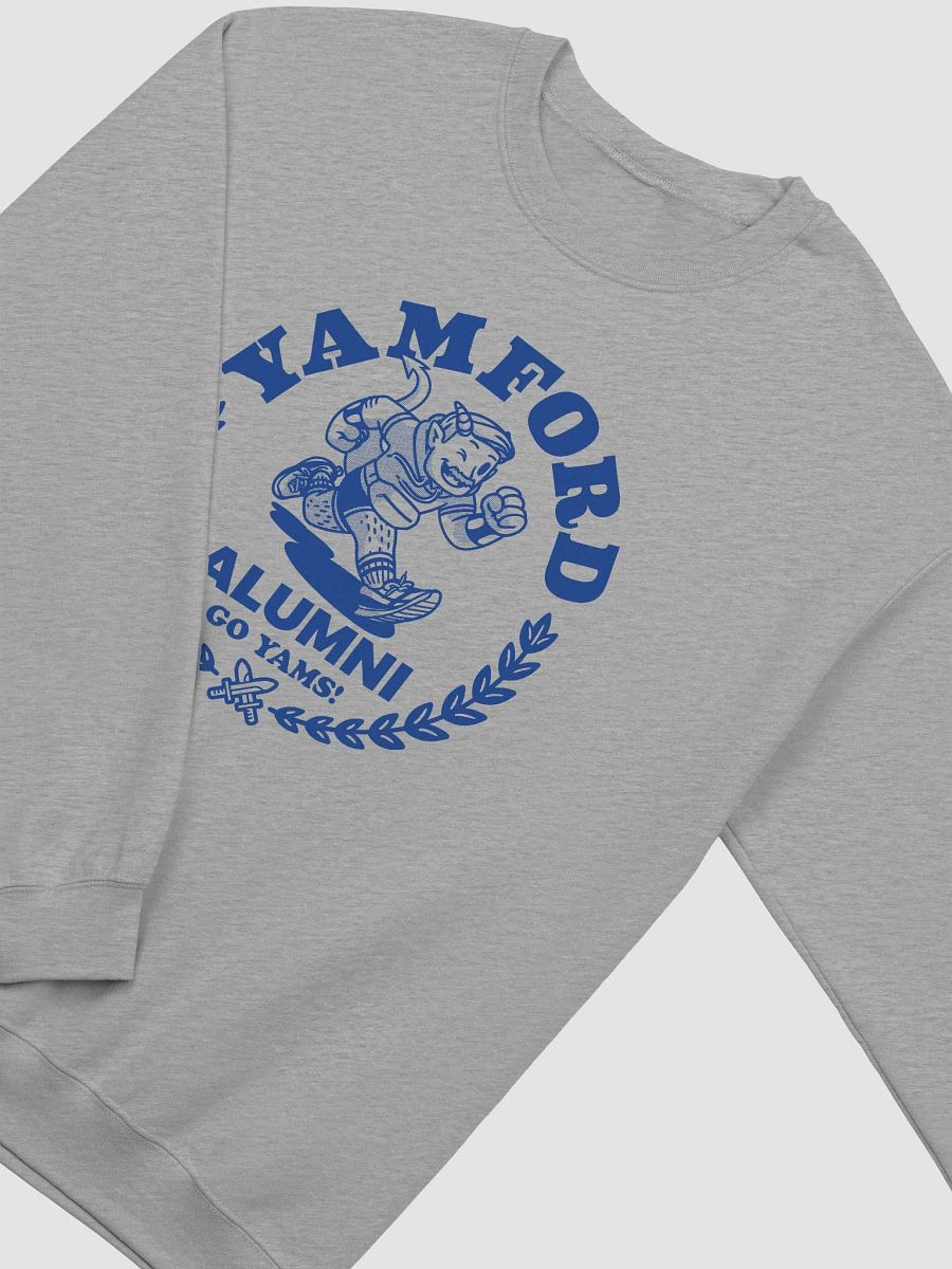 Chip's Yamford Alumni Crewneck Sweater product image (3)