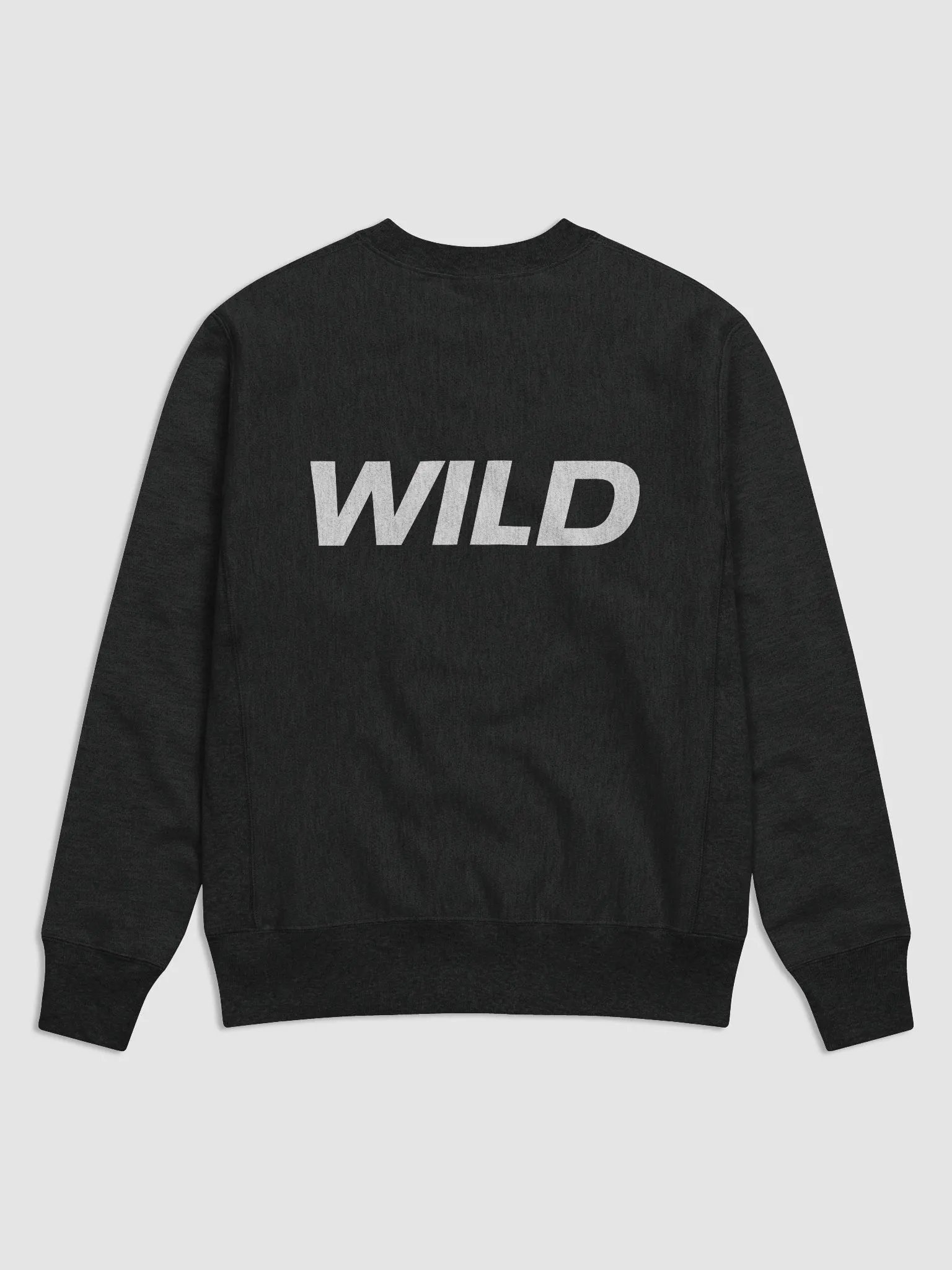 WILD ONES X Champion Crew Sweatshirt product image (1)