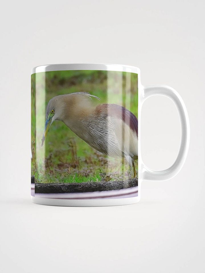 IUCAA Birds MUG product image (1)