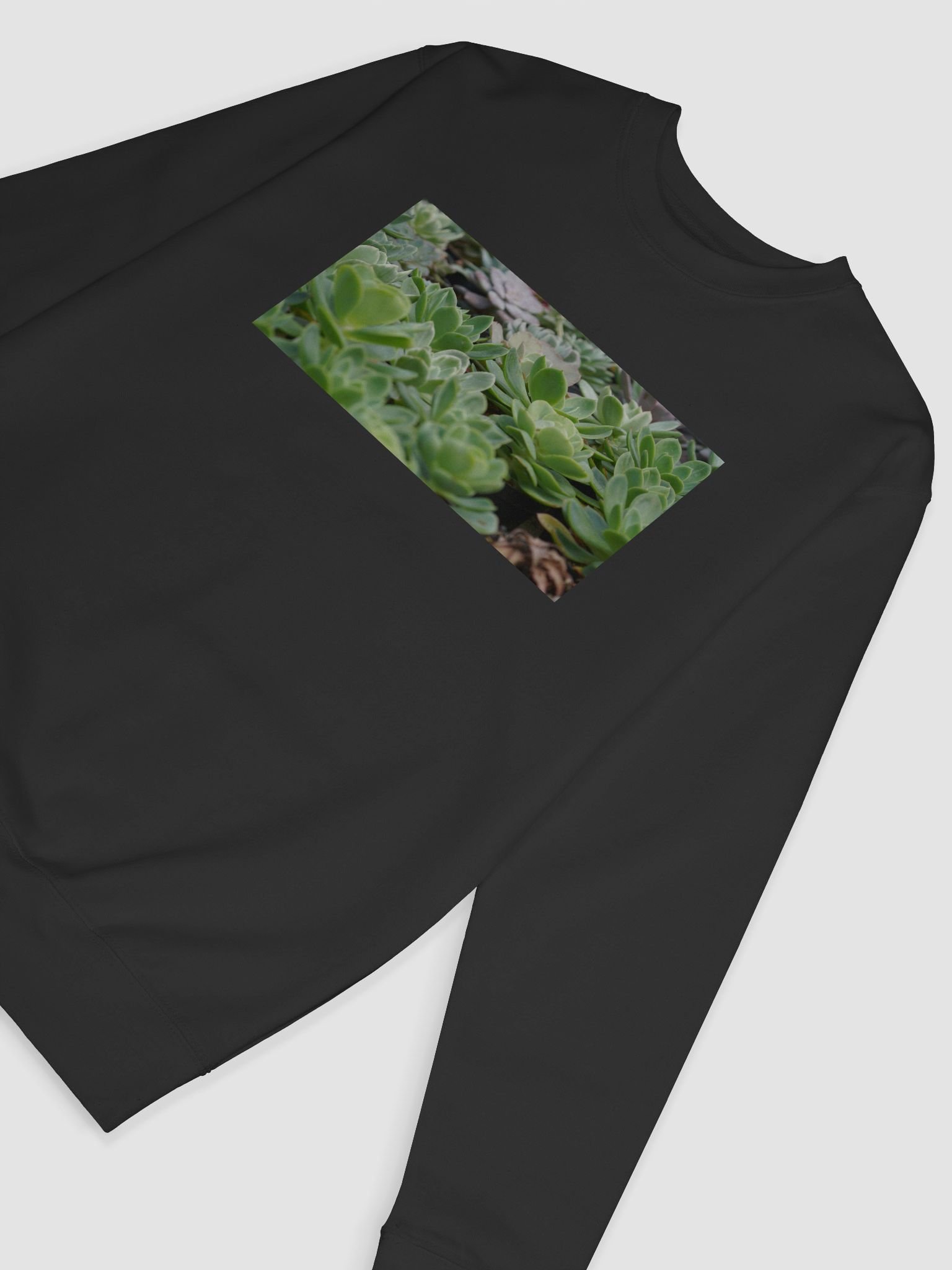 Verdant Oasis Cotton Sweatshirt product image (6)