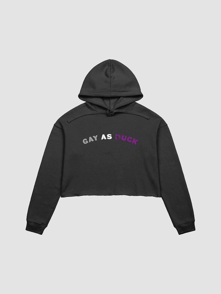 Gay As Duck Crop Hoodie - Ace product image (1)