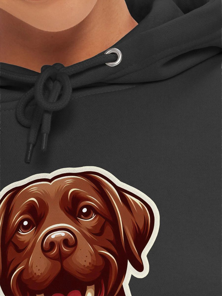 Labrador Life Fun Premium Hoodie product image (49)