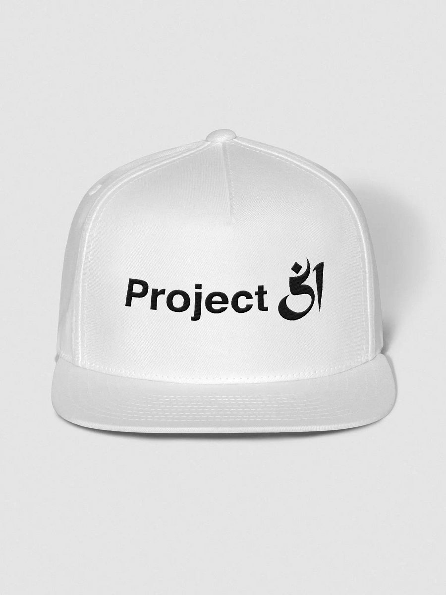 Project 51 snapback product image (1)