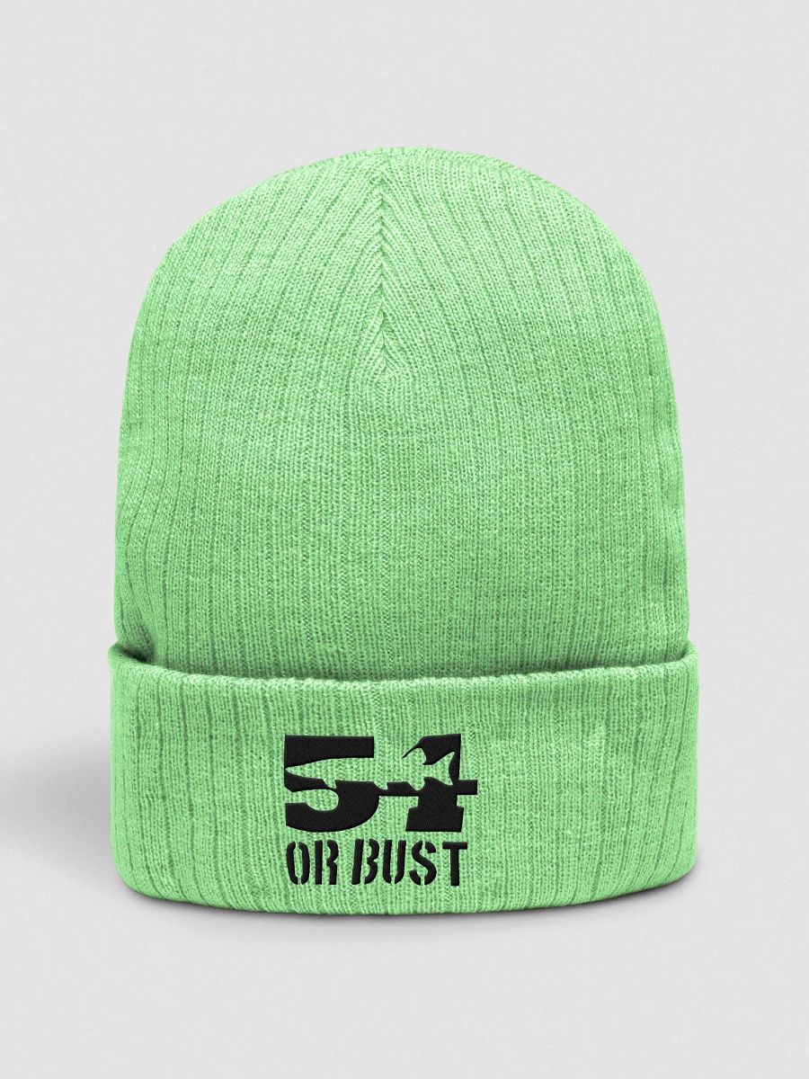 Eco-Friendly 54 or Bust Knit Beanie product image (19)