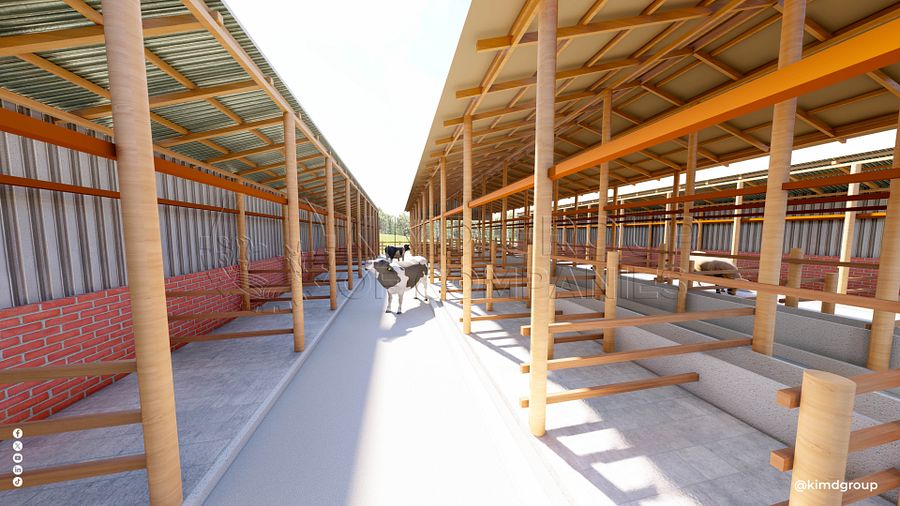 40 Dairy Cow Design Plan product image (8)