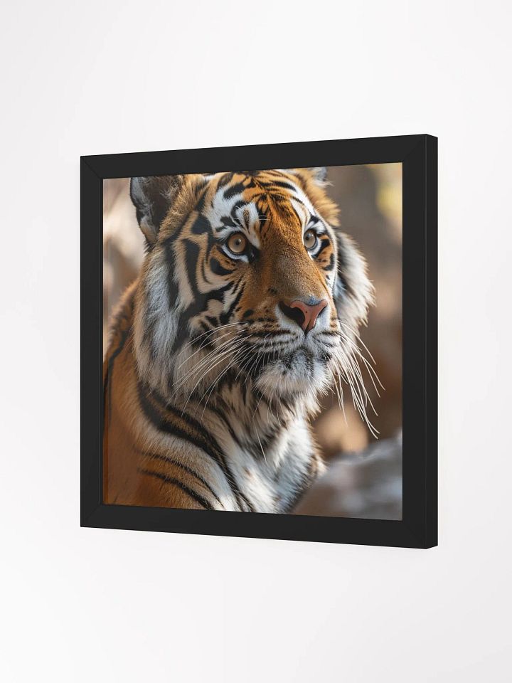 Tiger Solitude: A Portrait of Majestic Calm product image (2)