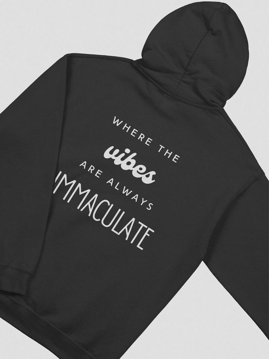 Immaculate Vibes Hoodie product image (34)