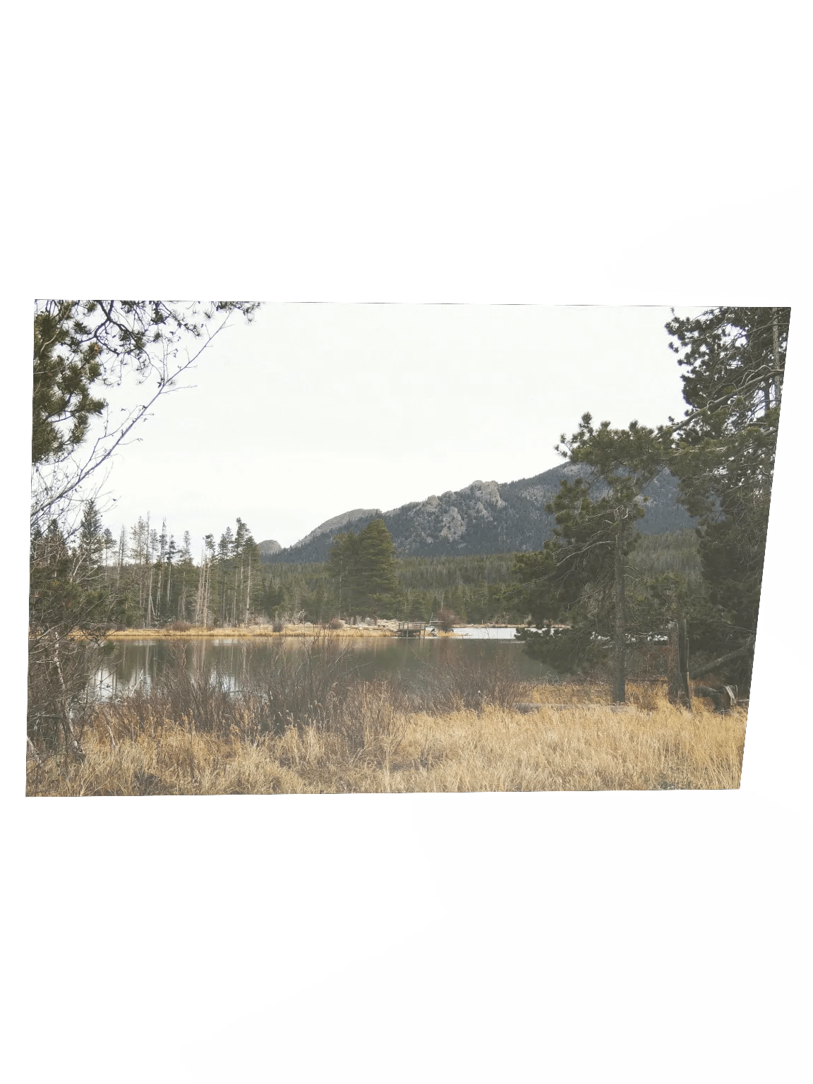 Sprague Lake Poster Print product image (3)