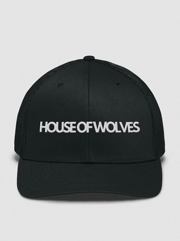 The Bassline Snapback product image (1)