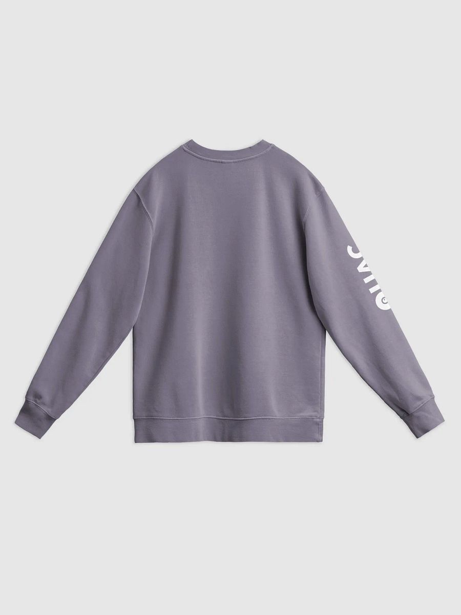 QUAC Sweatshirt product image (3)