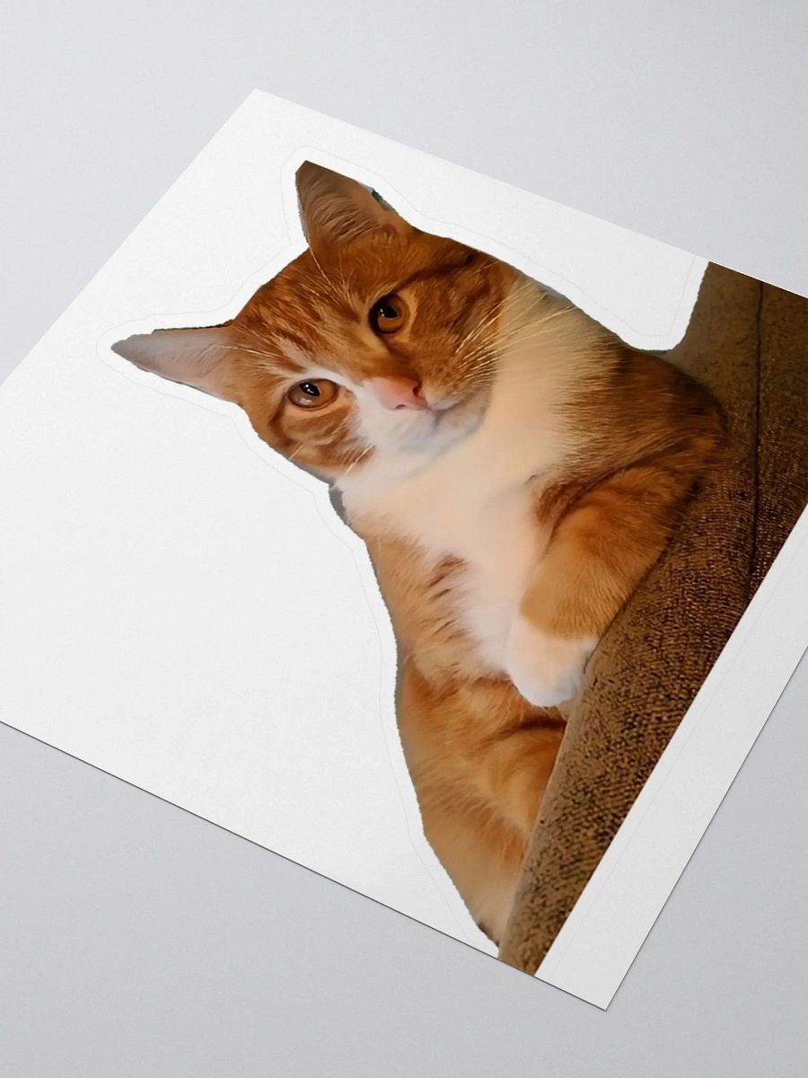 Kiss Cut Stickers: Meme Cats judgmental product image (3)