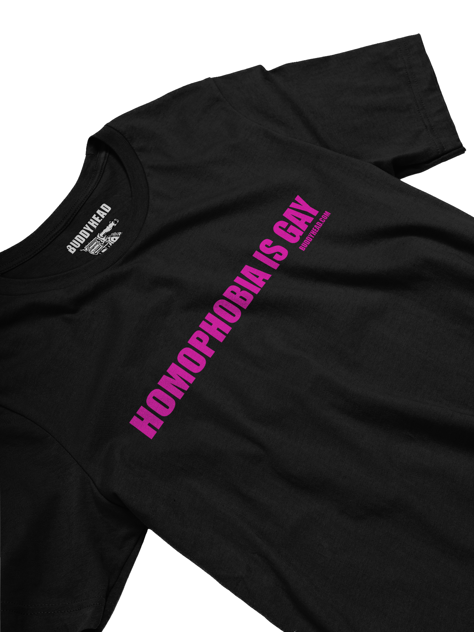 Homophobia Is Gay tee product image (11)