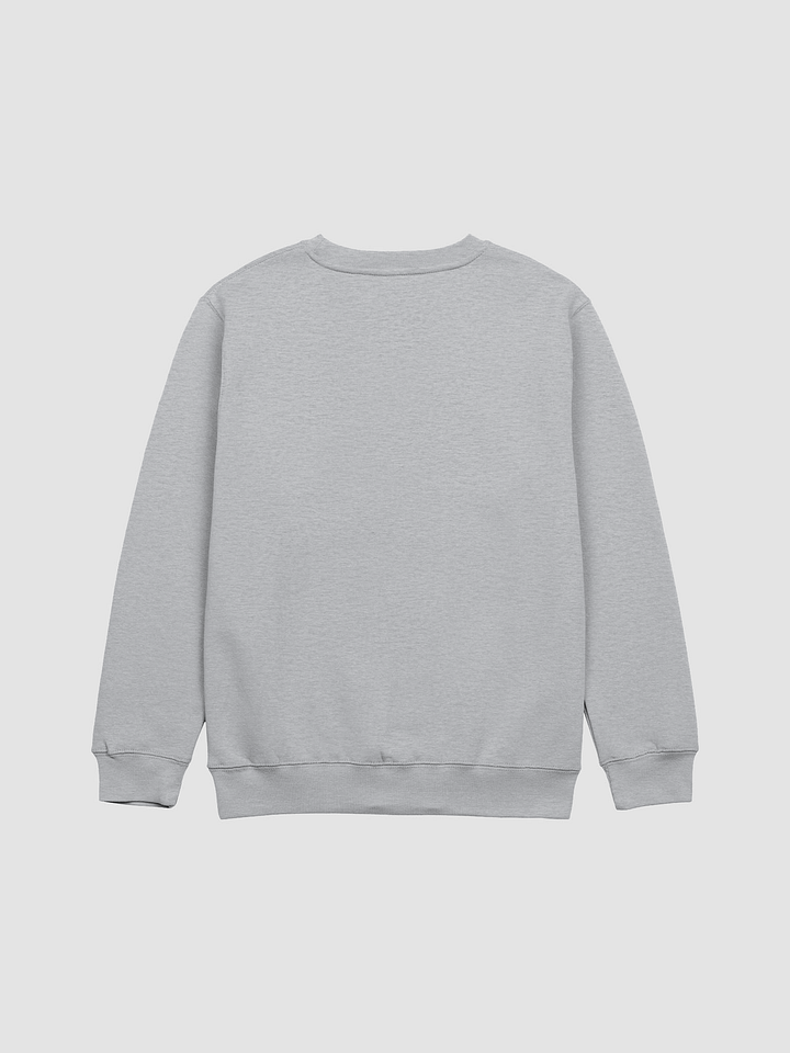 Bang Chan Anti-Delulu pills Sweatshirt product image (6)
