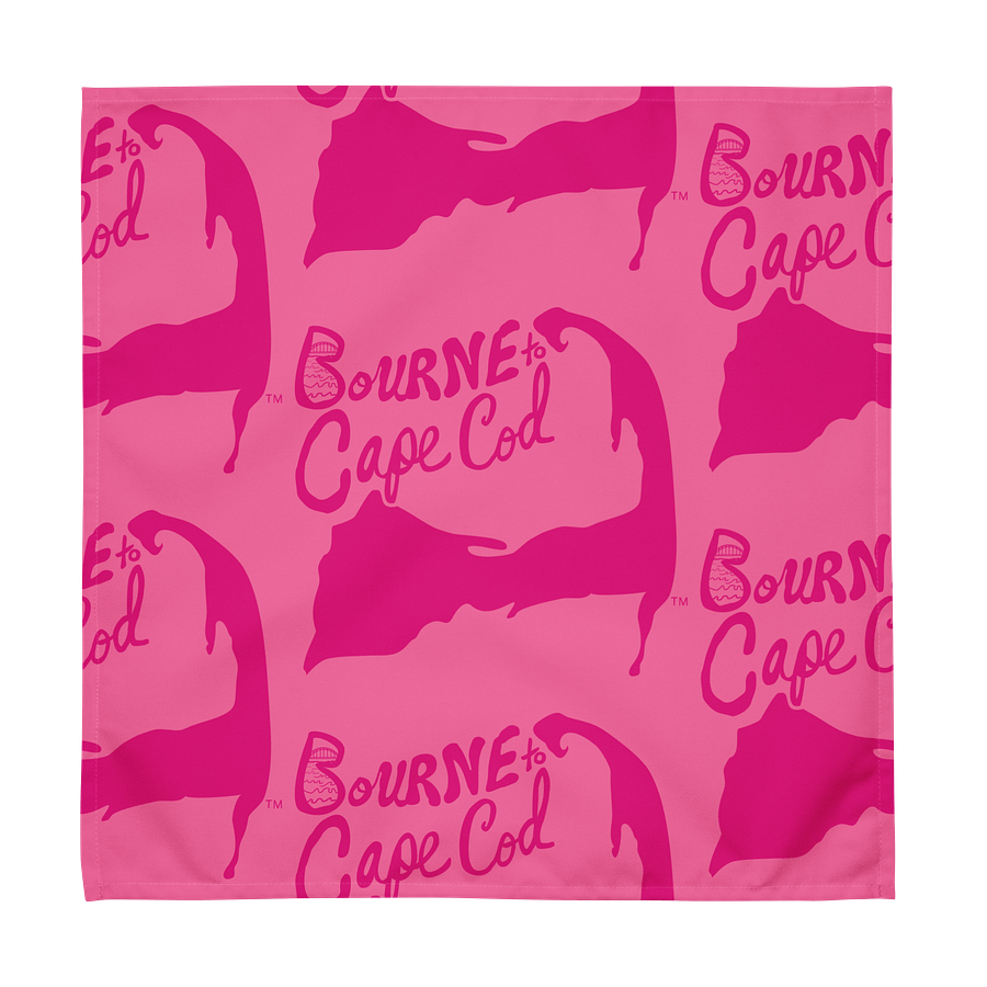 🌀BOURNE to Cape Cod™ | Logo Print Cloth Napkin Set (4) | Coastal Dining Essentials | Multi-Colored product image (7)