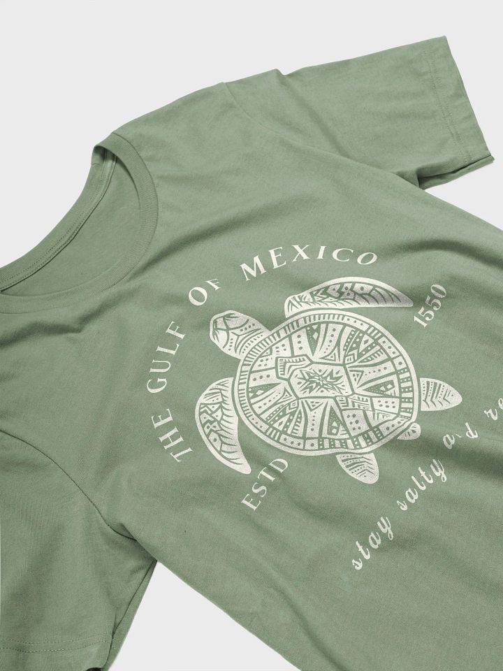Gulf Of Mexico Sea Turtle Tee product image (39)