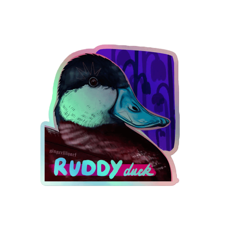 ruddy duck sticker product image (2)