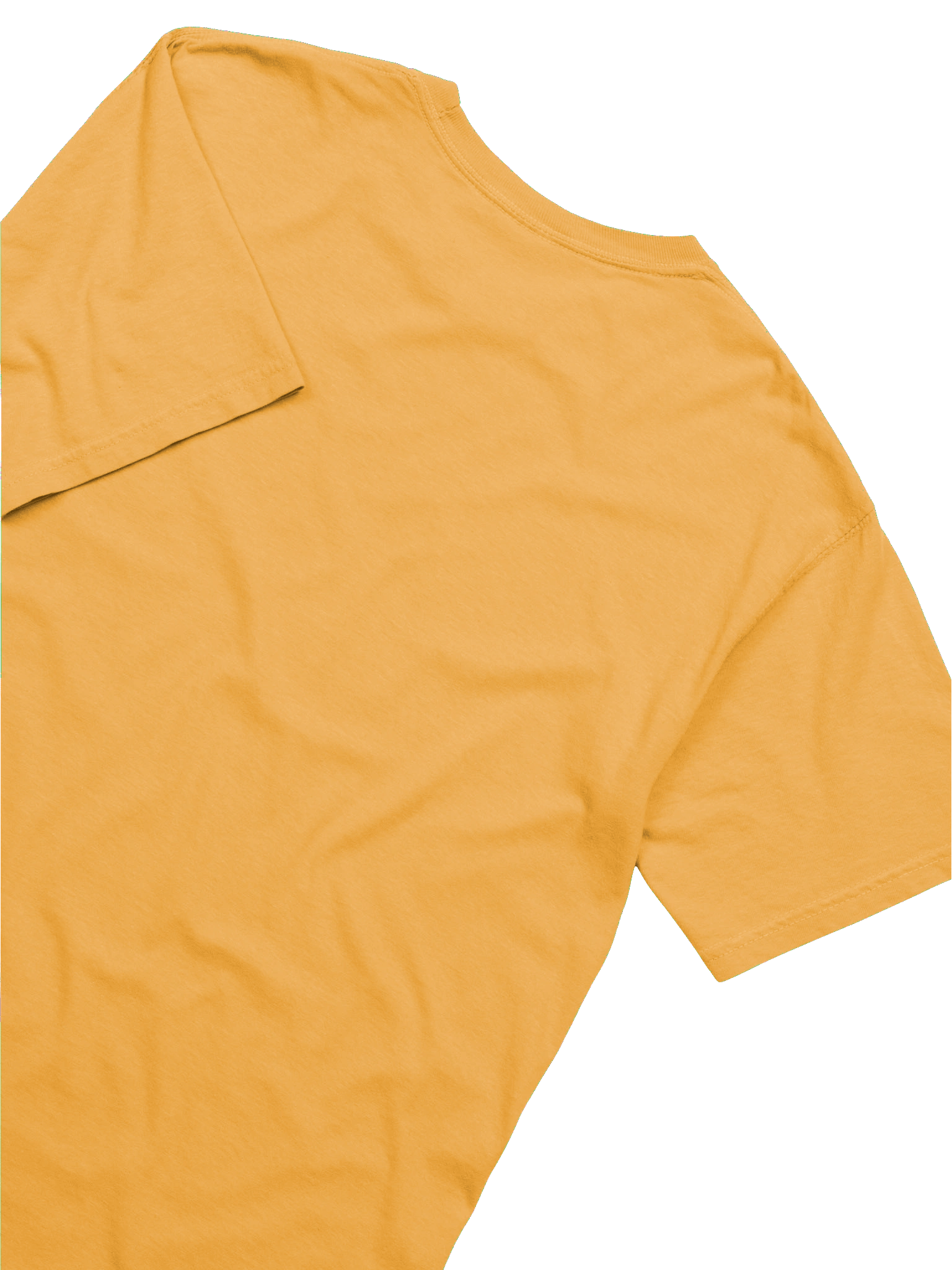 Rats are Cool shirt product image (21)