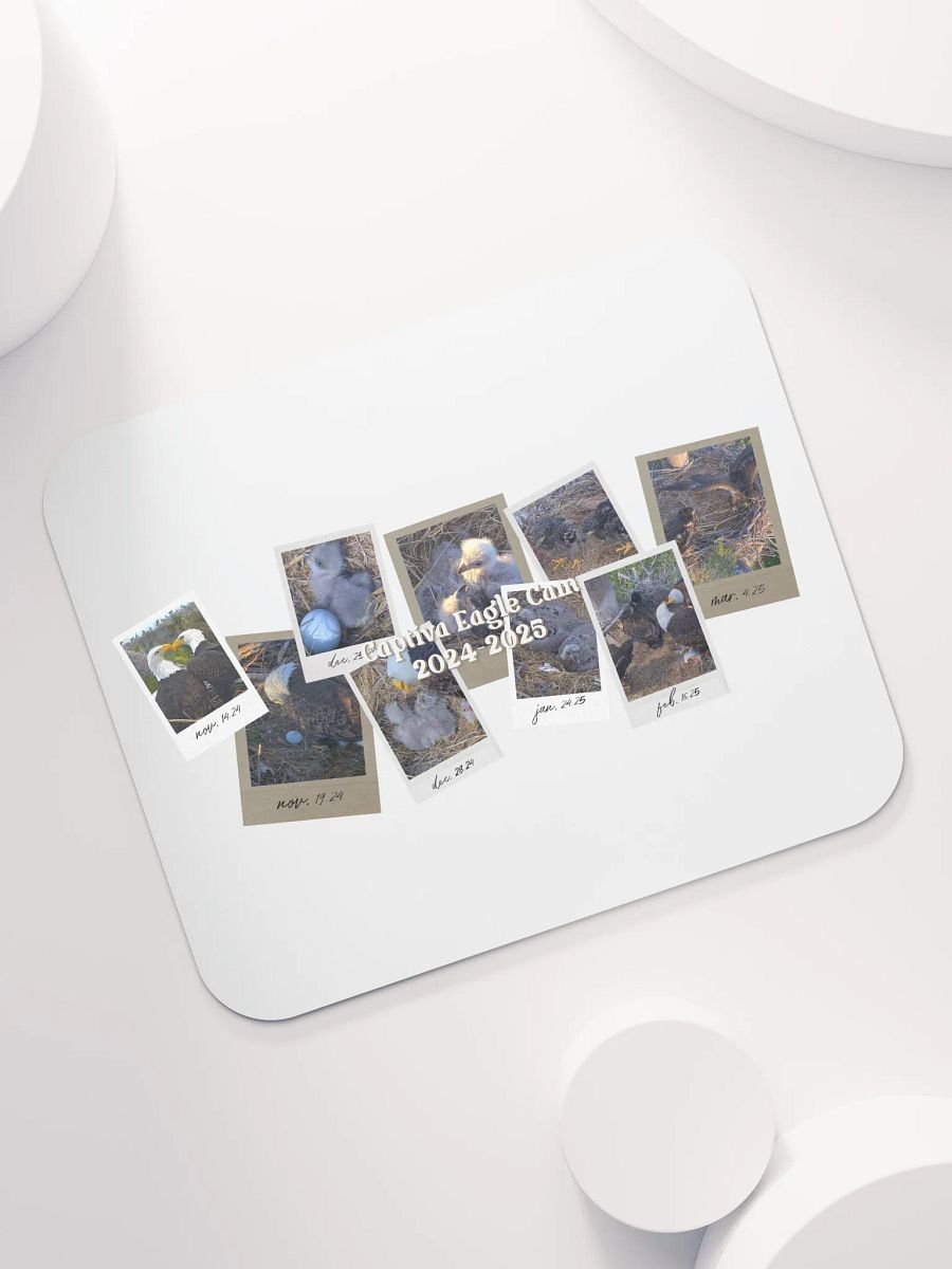 Journey | Mouse Pad | Captiva Eagle Cam 2024-2025 product image (6)
