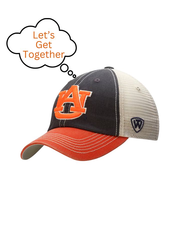 Auburn Tigers Top of the World Trucker Adjustable Hat - Navy Blue product image (1)