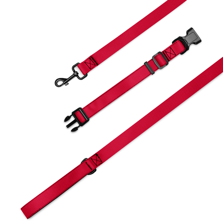 Lucky Dog Vibrant Red Pet Collar & Leash Set 01 product image (1)