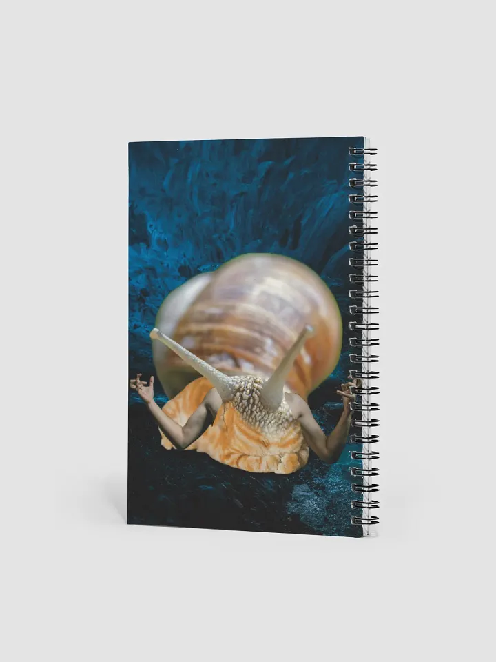 IMPORTANT NOTES product image (2)
