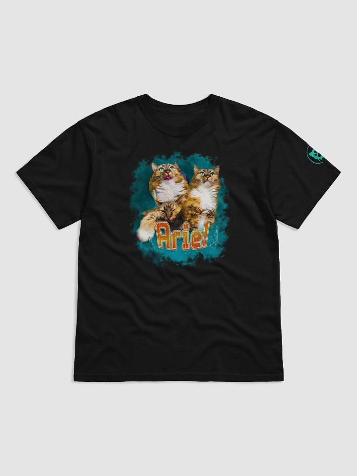 Bday Shirt Spinkittea and ariel! product image (1)
