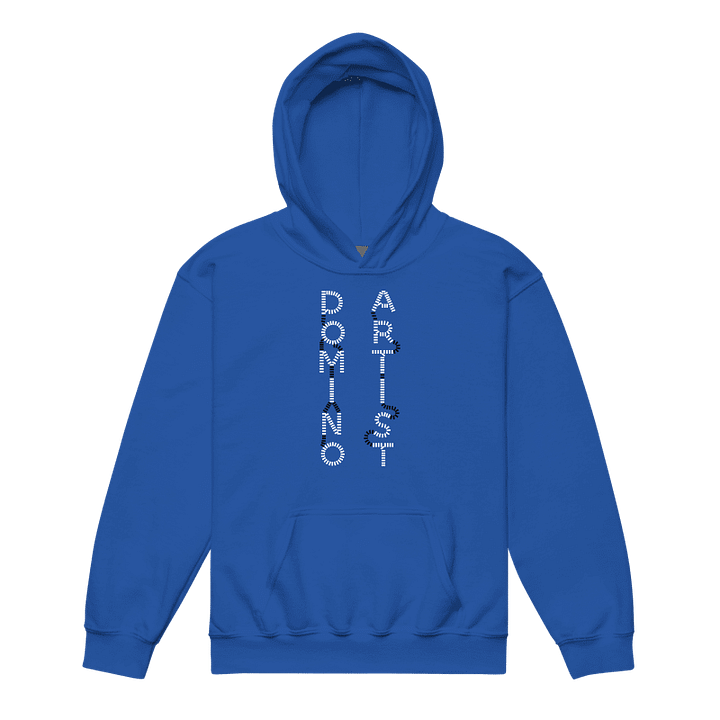 Domino Artist Hoodie (Youth) product image (1)