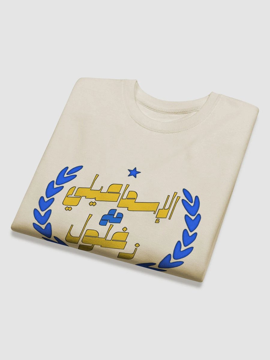 Sweatshirt product image (11)
