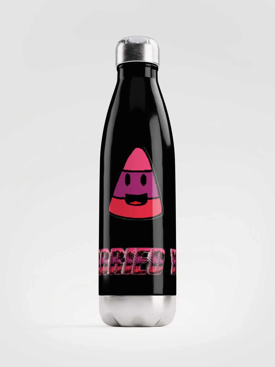I CARRIED YOU - Stainless Steel Bottle product image (1)