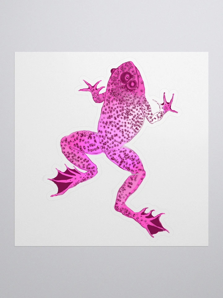 Pink Frog Sticker product image (1)