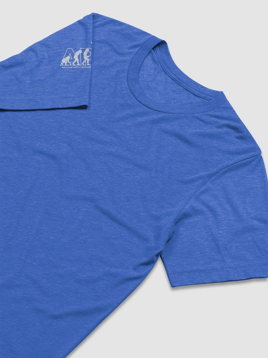 APEvolution: Iconic Back Logo Tee [Men's] product image (6)