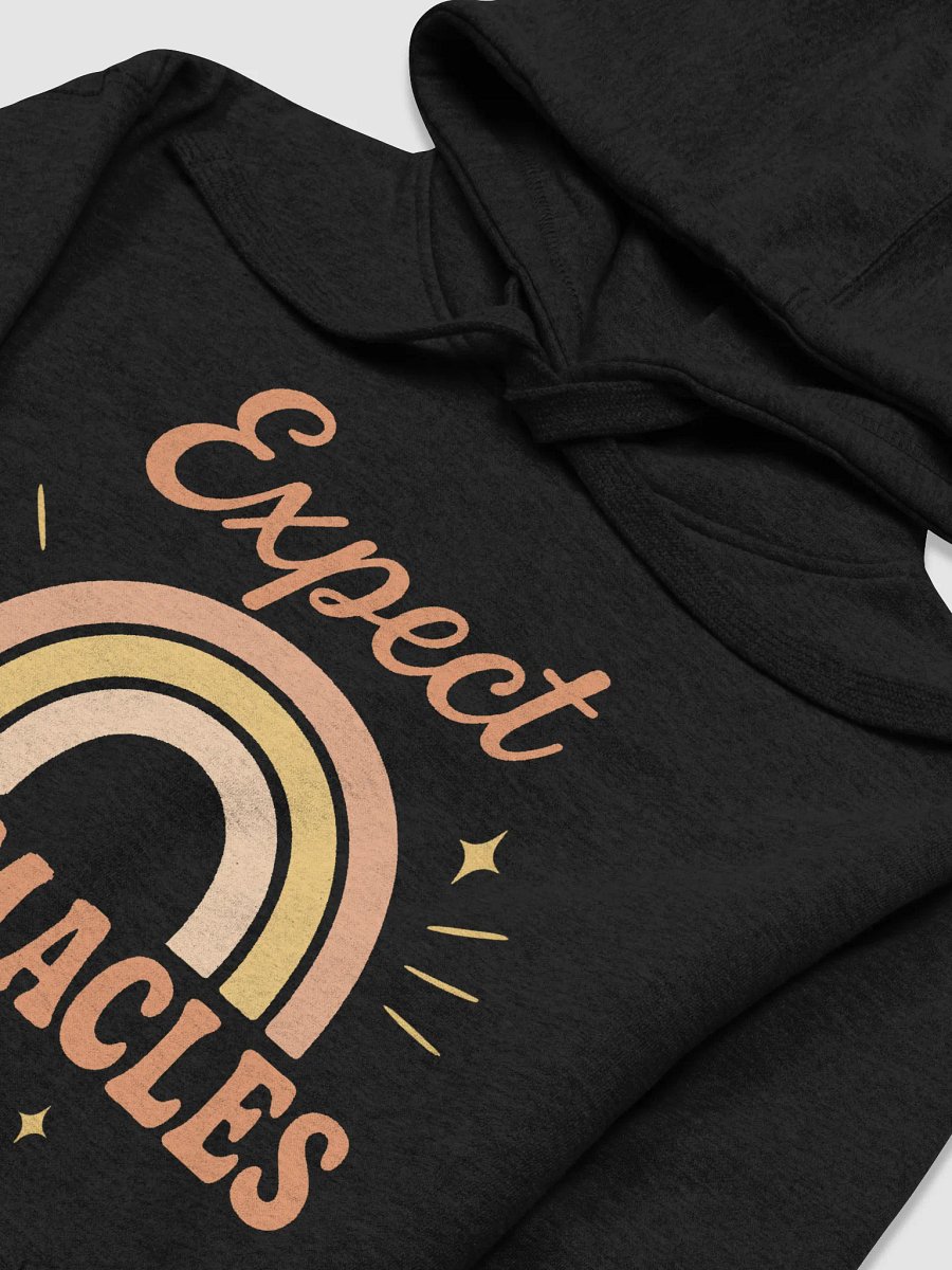 Expect Normacles Hoodie product image (3)