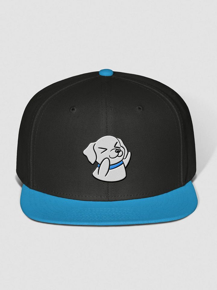 Hype Snapback product image (2)