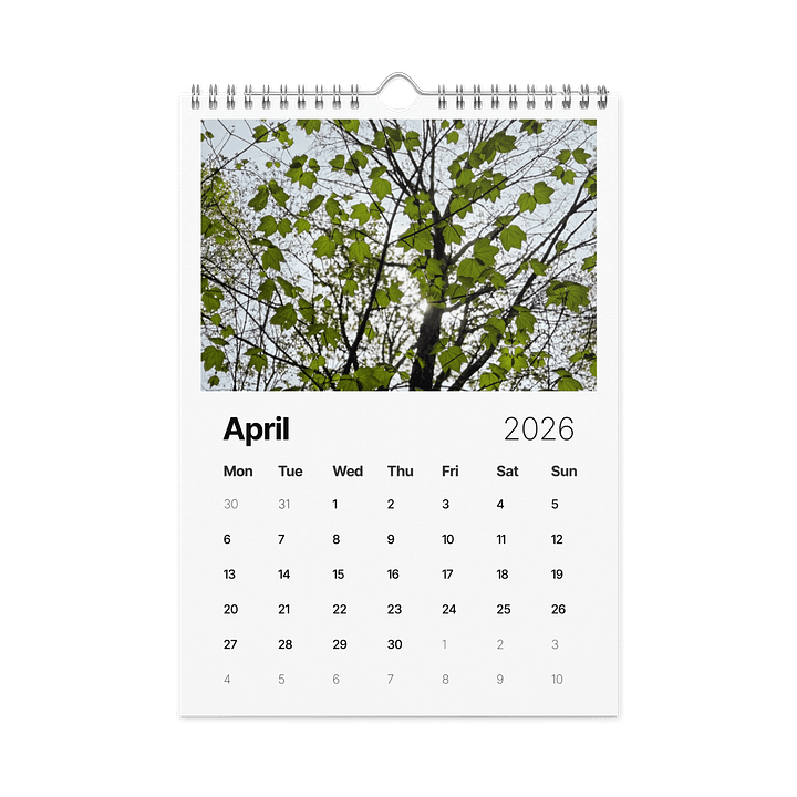 Canopy of Time: 2026 Wall Calendar product image (1)
