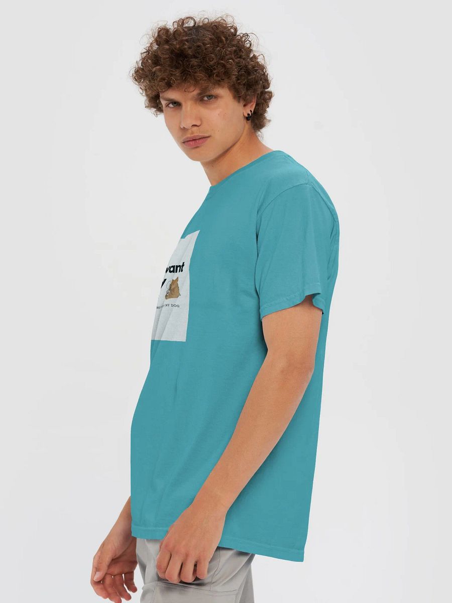 Just Want to Stay Home product image (6)